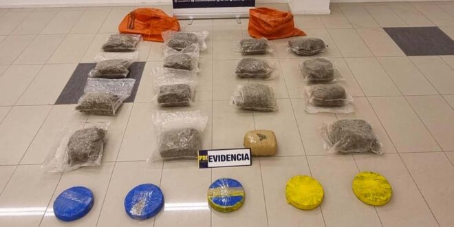 Pdi Incauta M S De Kilos De Cannabis En Calama Pitv Calama